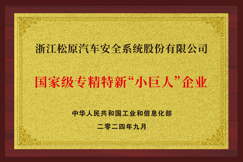 國(guó)家級(jí)專精特新“小巨人”企業(yè)