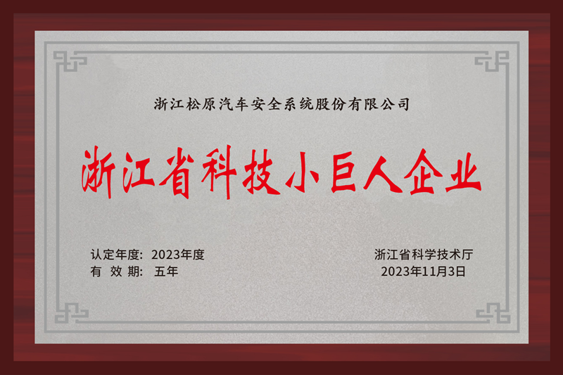 浙江省科技小巨人企業(yè)